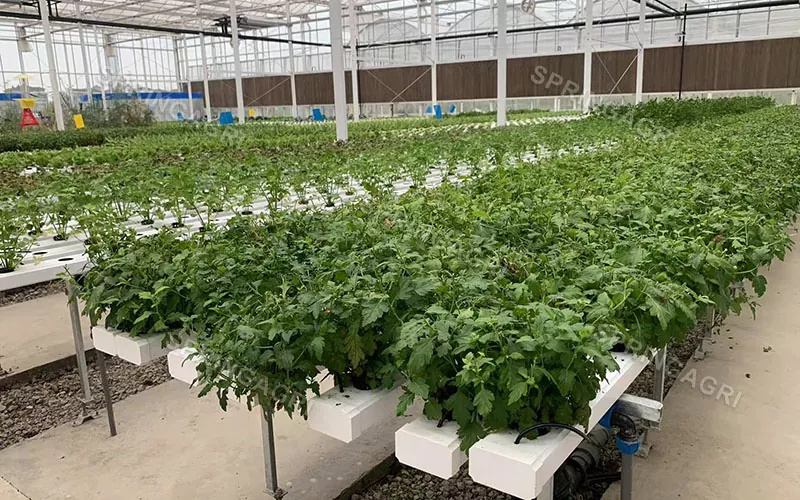 Вертикальные гидропонные системы выращивания NFT Farming